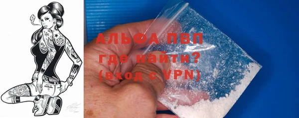 индика Гусь-Хрустальный
