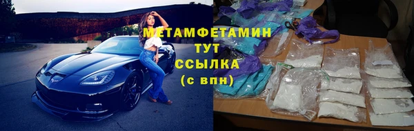 индика Гусь-Хрустальный