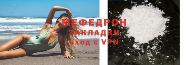 индика Гусь-Хрустальный