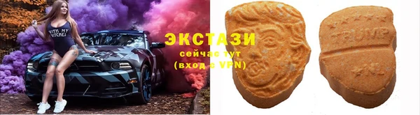 индика Гусь-Хрустальный