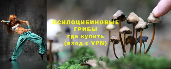 индика Гусь-Хрустальный