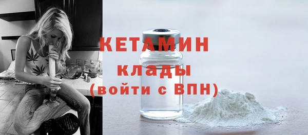 гидропоника Гусиноозёрск