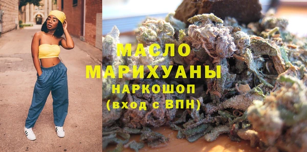 индика Гусь-Хрустальный