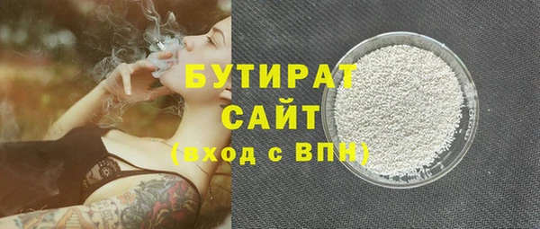 индика Гусь-Хрустальный