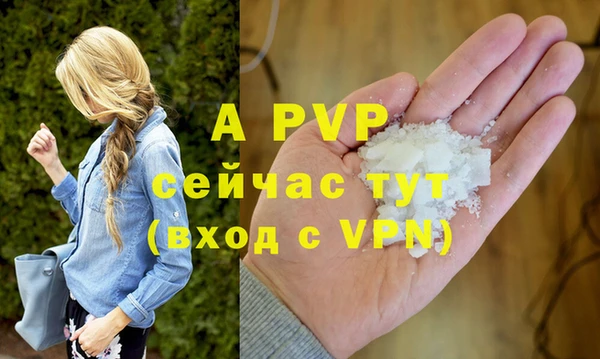 индика Гусь-Хрустальный