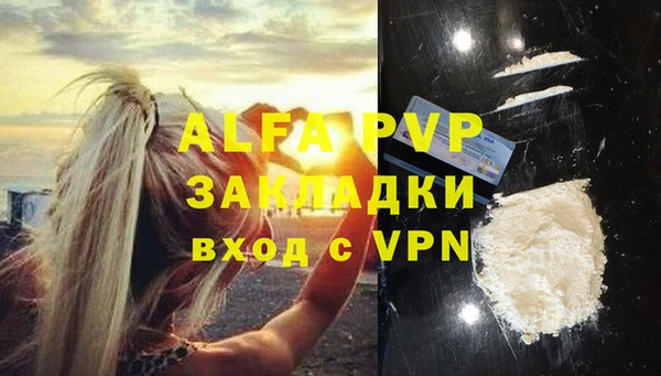 индика Гусь-Хрустальный