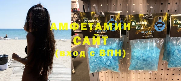 индика Гусь-Хрустальный