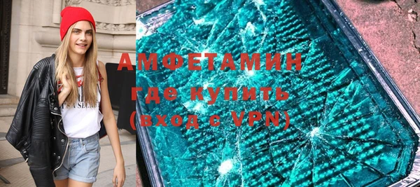 индика Гусь-Хрустальный