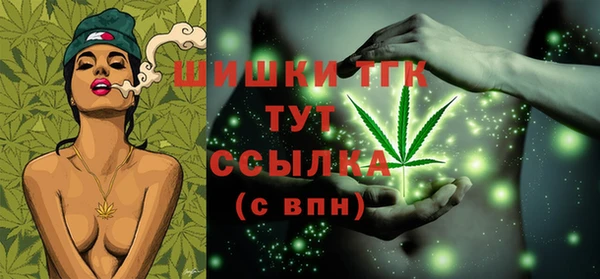 гидропоника Гусиноозёрск