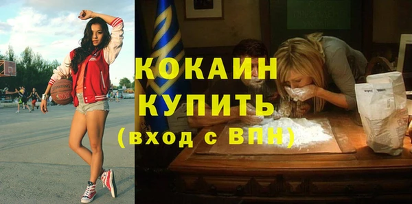 гидропоника Гусиноозёрск