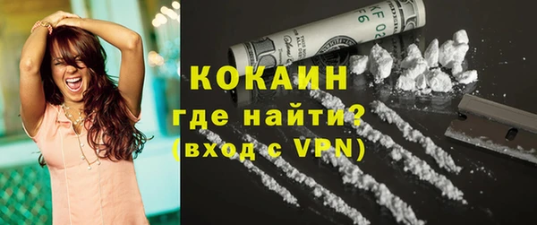 индика Гусь-Хрустальный