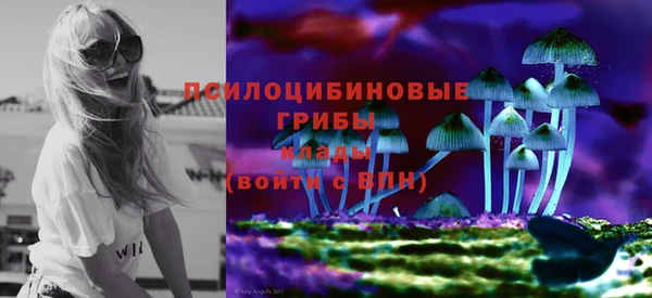 индика Гусь-Хрустальный