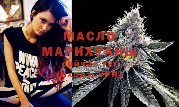 индика Гусь-Хрустальный
