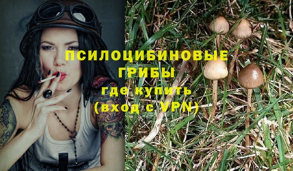 трава Горно-Алтайск
