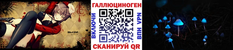 Купить Моршанск Псилоцибиновые грибы Psilocybine cubensis